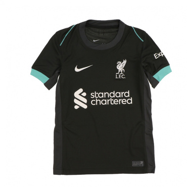 リバプール FC 2024/25 スタジアム アウェイ ジュニア Dri-FIT サッカー レプリカ ユニフォーム