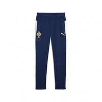 NIKE サッカー ポルトガル代表 2022-23 トレーニングパンツ NIKE ポルトガル代表 08/09 パンツ アウェイ 259182 105 代表