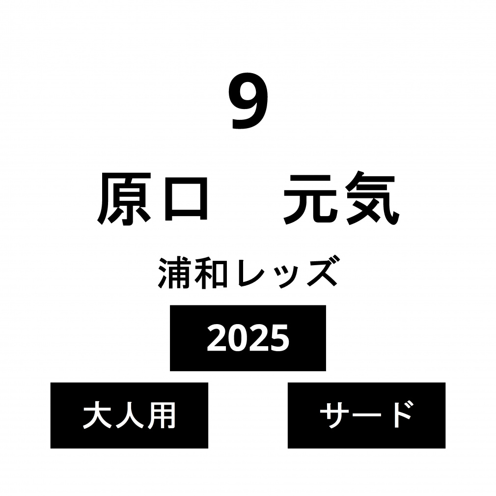 �l�[�� �Y�a���b�Y ��l �T�[�h ���� ���C No.9 2025