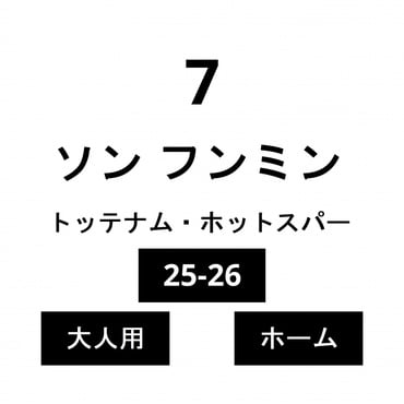 ナイキ サッカー レプリカユニフォーム プレミアリーグ トッテナム