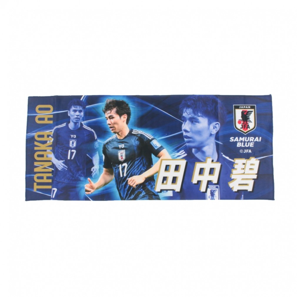 WFCGtG[TbJ[{\ v[[YtFCX^I 17c TbJ[/tbgT CZXObY JS-028 JFA