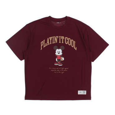 ジョーダン メンズ レディス バスケットボール 半袖Tシャツ ボストン