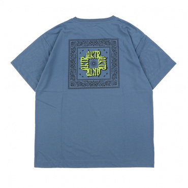 PAISLEY LOGO DRYTECH TEE
