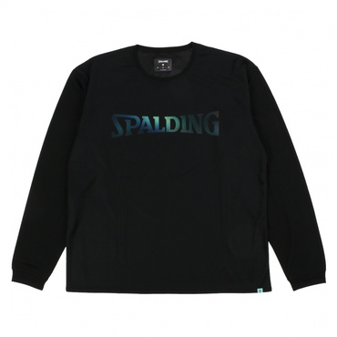 アルペン限定デザインロングスリーブTシャツ グラデーション ロゴ AP