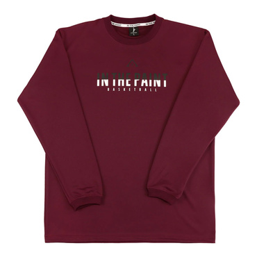 スポーツデポ・アルペン限定 LONG SLEEVE SHIRTS