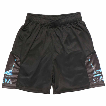DADA BLUE ROSE CROWN LOGO SHORTS