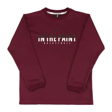 スポーツデポ・アルペン限定 LONG SLEEVE SHIRTS