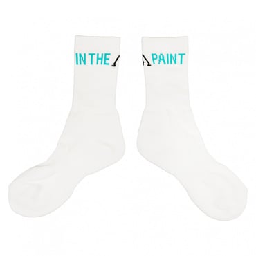 ソックス スポーツデポ・アルペン限定(ホワイト×エメラルドグリン-23.5cm)