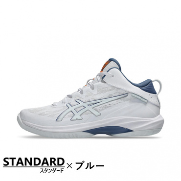 ゲルフープv17 ゲルフープ V17 STANDARD｜Alpen Online