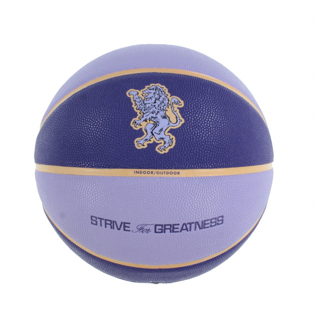 オールコート 2.0 レブロン 7号球(--FREE)