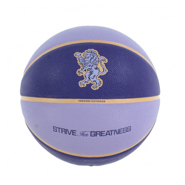 オールコート 2.0 レブロン 7号球