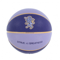 オールコート 2.0 レブロン 7号球