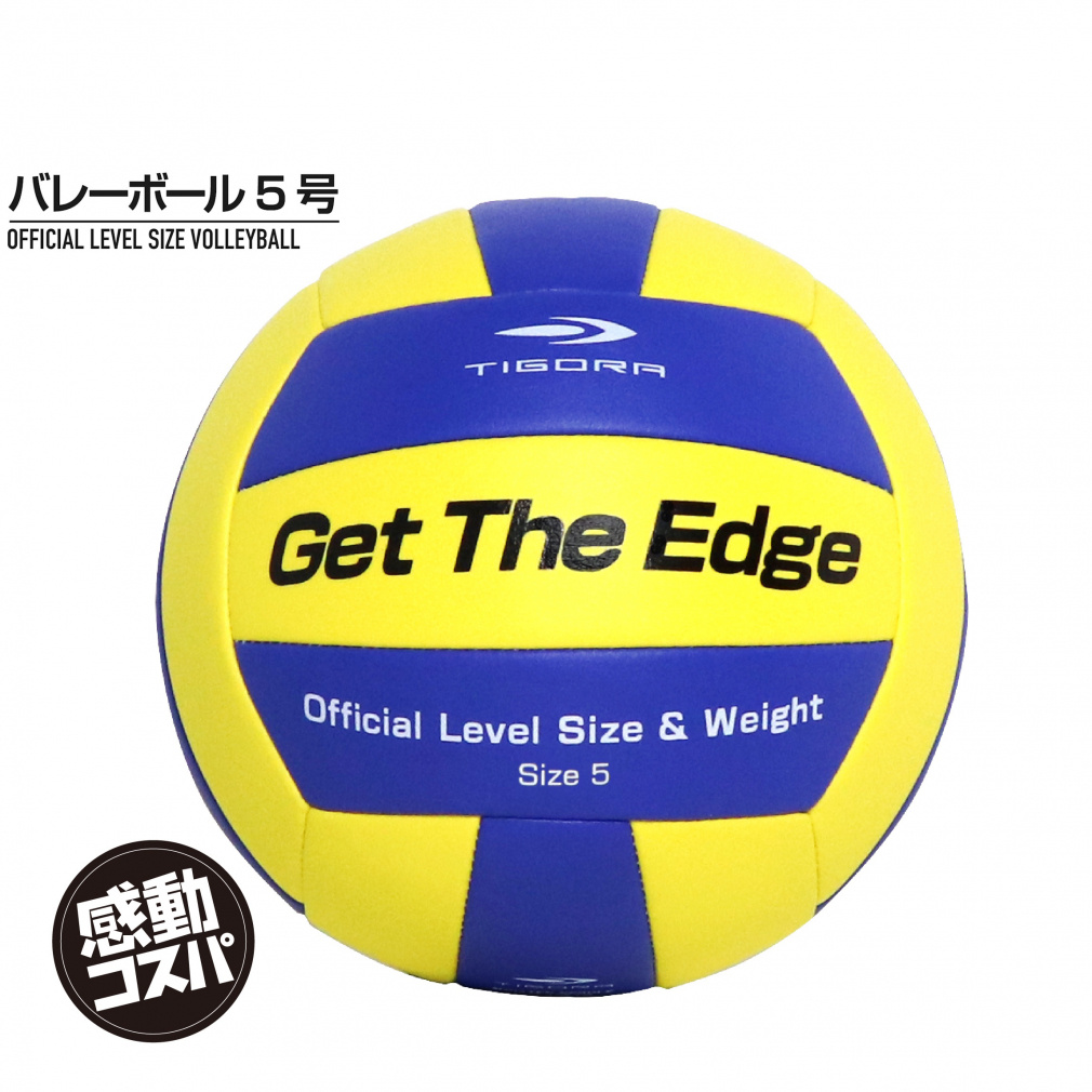 バレーボール　5点セット TR-8VB0018｜Alpen Online