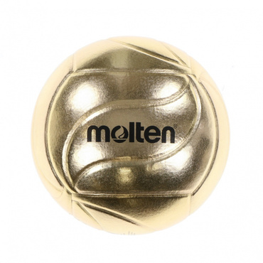 記念ボール バレーボール