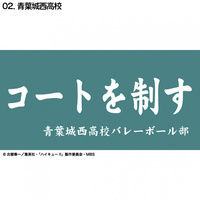 ハイキュー横断幕ハンドタオルハーフ 青葉城西｜Alpen Online
