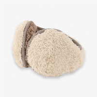 ボアバックアーム