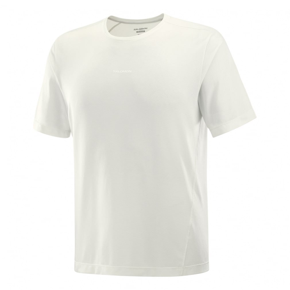 サロモン メンズ アウトドア 半袖Tシャツ シェイクアウト コア