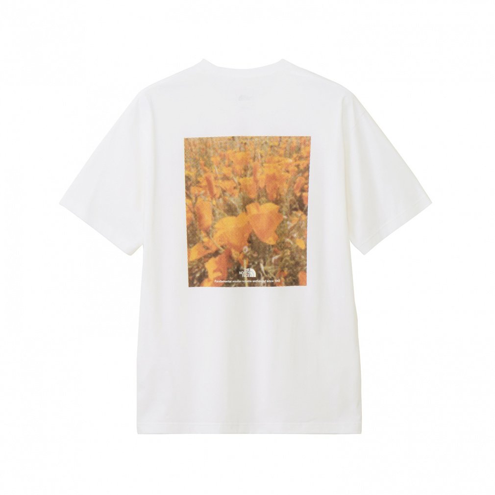 VLSLON スリーブ 55枚セット ほぼ美品 ティルム VLSLON スリーブ 55