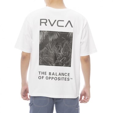 PALM BOX SS サーフ 半袖Tシャツ