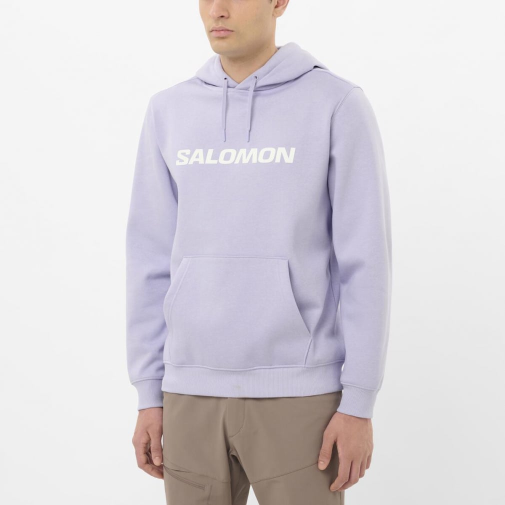 サロモン フーディ SALOMON HOODIE M(サックスブルー-S)