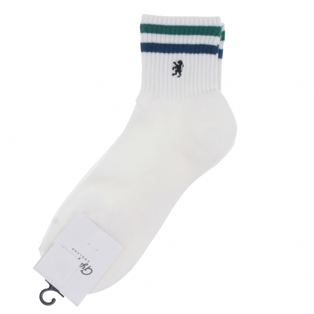 カラーラインソックス(グリーン×ダークブルー-S)