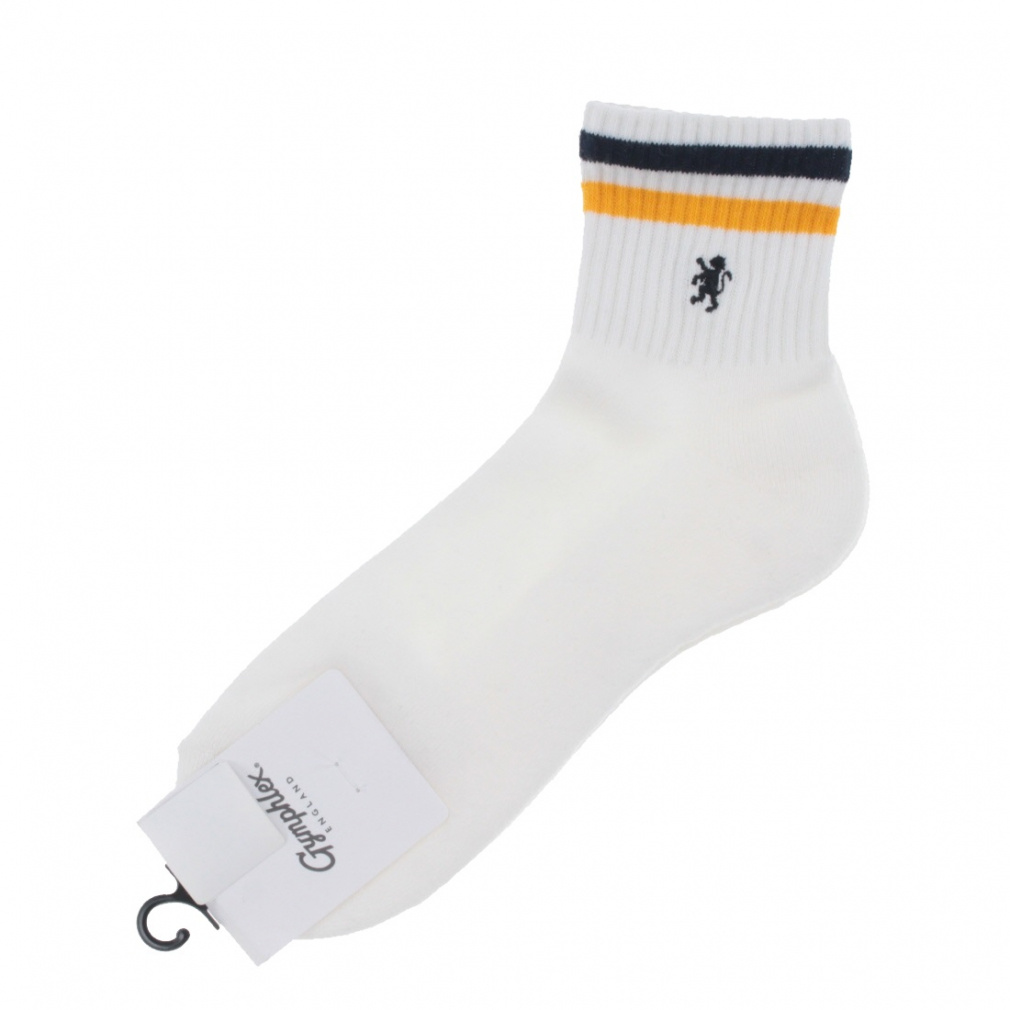 カラーラインソックス(ネイビー×イエロー-S)