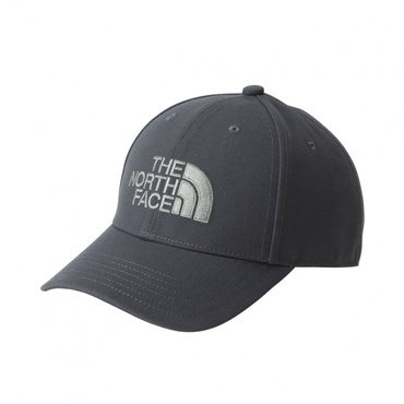 TNF Logo Cap TNFロゴキャップ(グレイシュブルー-FREE　小物)
