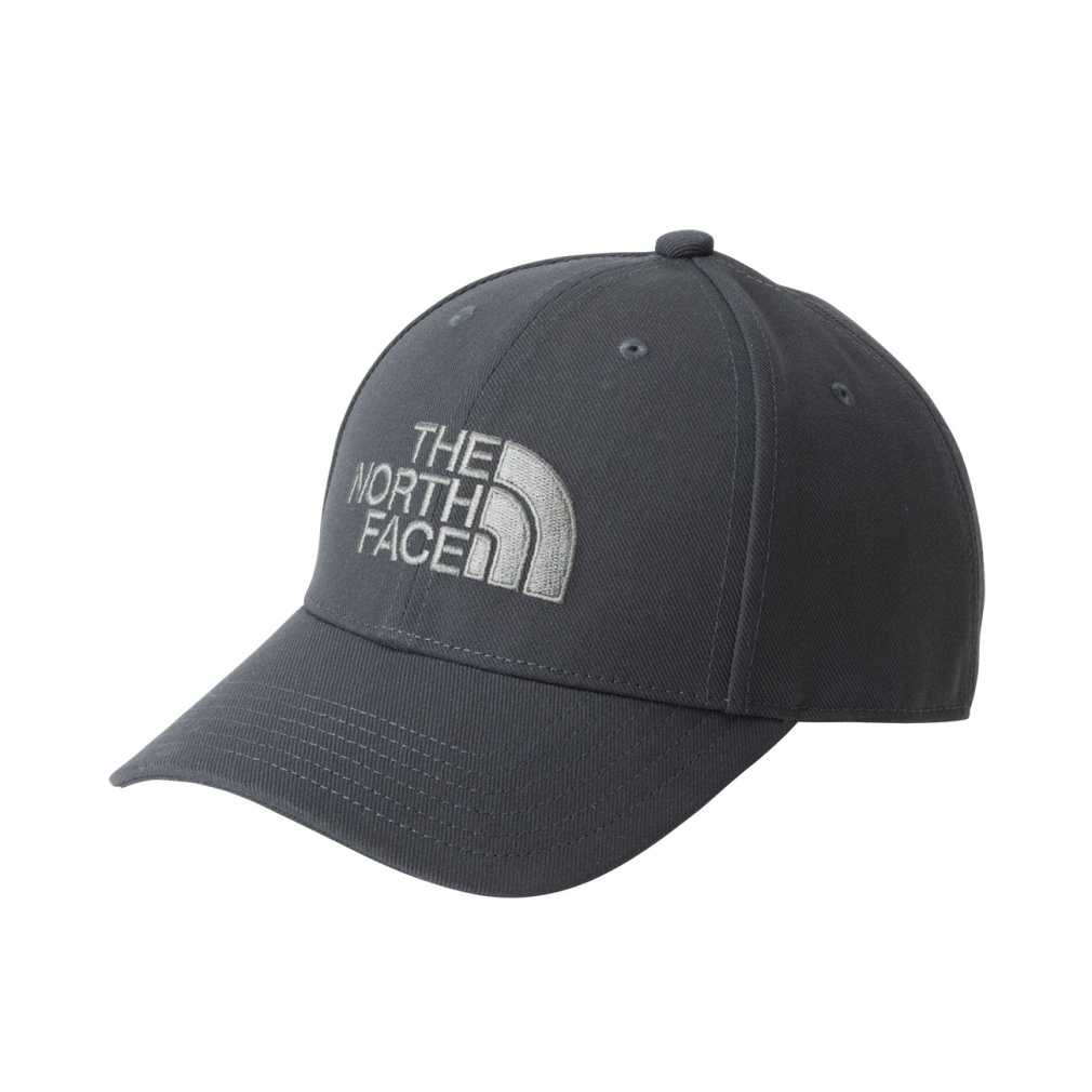 TNF Logo Cap TNFロゴキャップ(グレイシュブルー-FREE　小物)