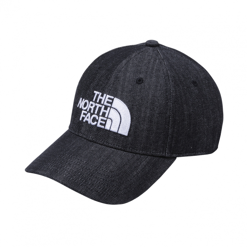 TNF Logo Cap TNFロゴキャップ(ダークグレー-FREE　小物)