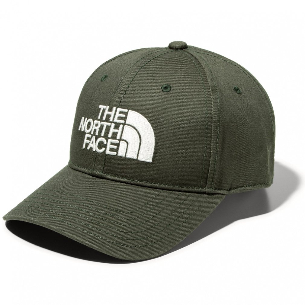 TNF Logo Cap