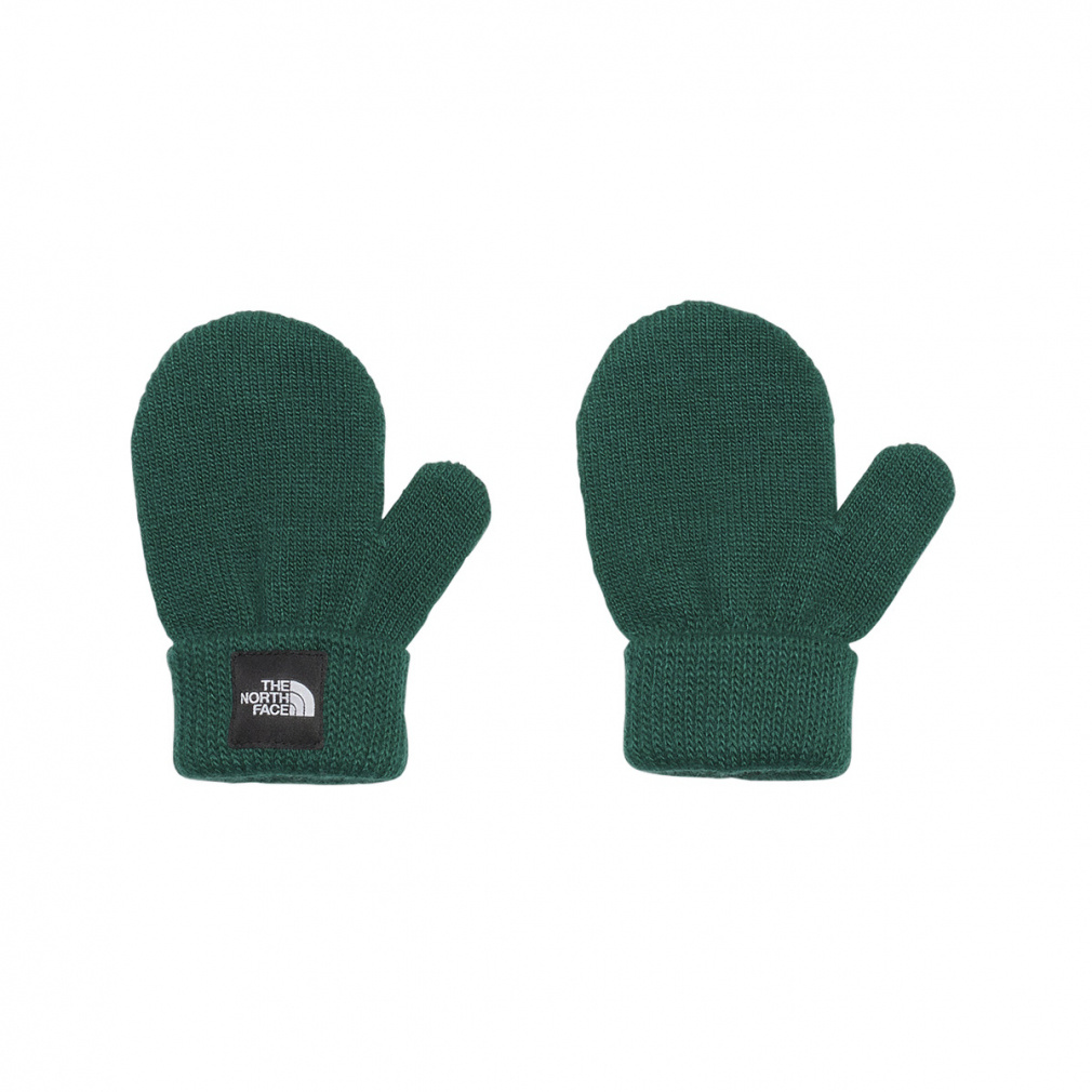 ザ・ノース・フェイス ジュニア キッズ アウトドア 手袋 ミトン ベビー