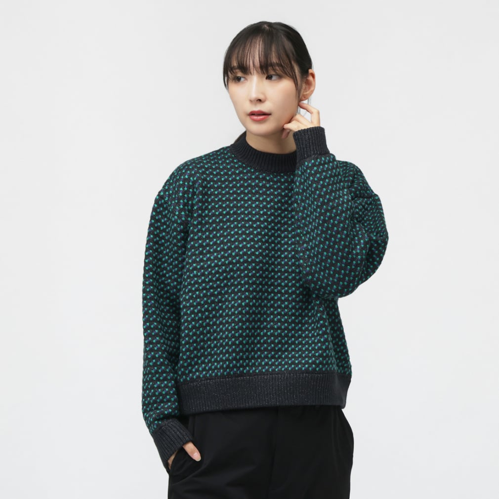 Wayne Sweater Birds-Eye(チャコールグレー-M)