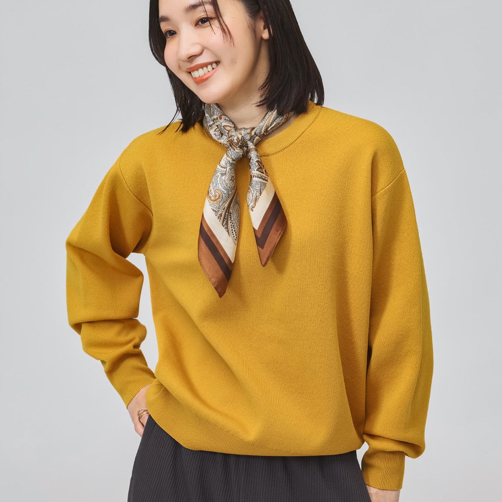 ここに画像説明を入力