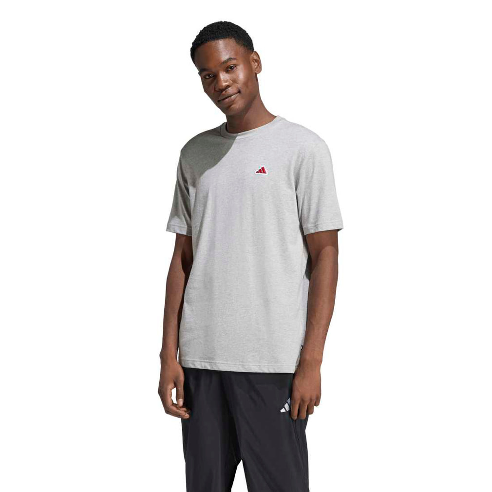 アディダス メンズ 半袖 Tシャツ COLOR ICON グラフィック Tシャツ