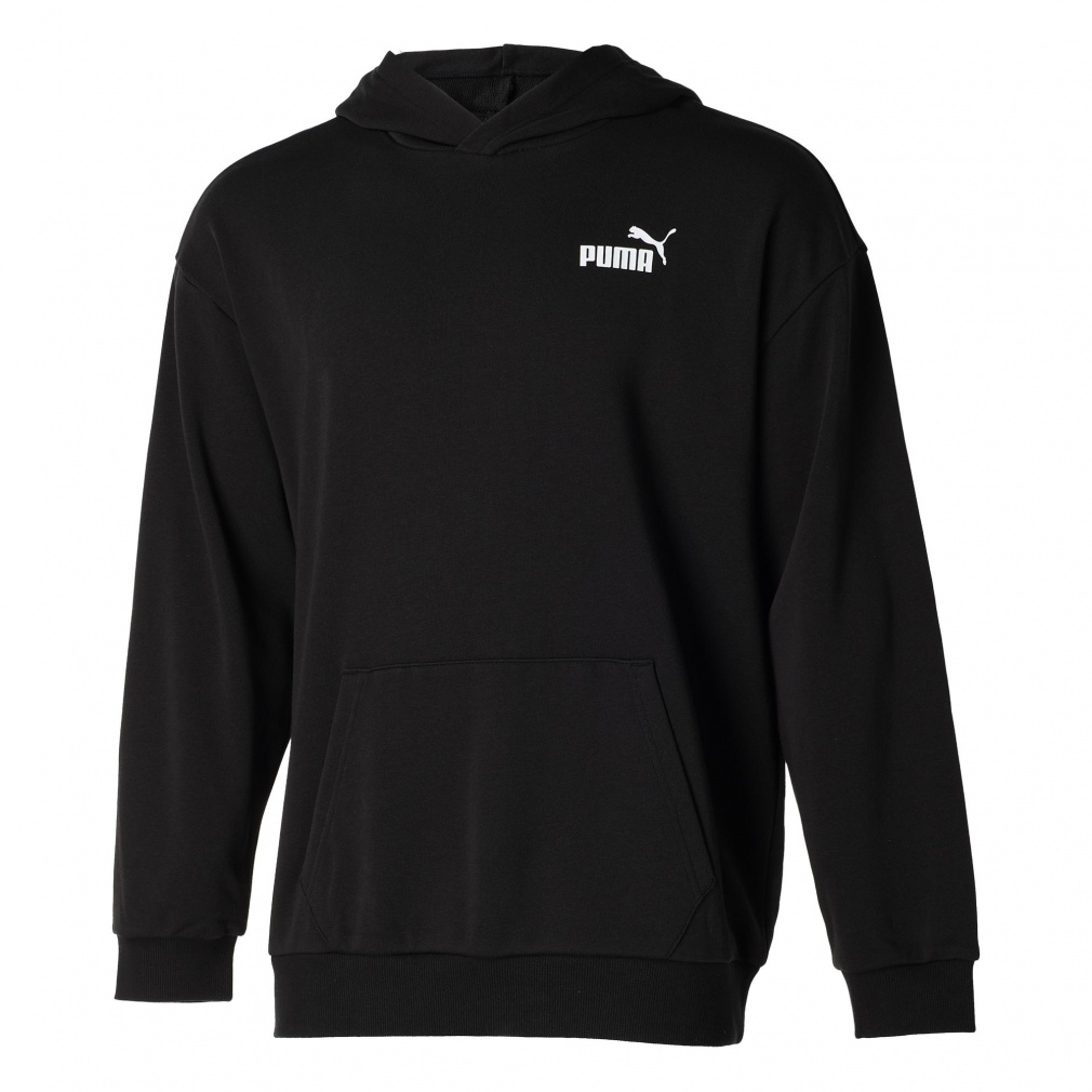 ビッグロゴ スウェットフーディー｜Alpen Online