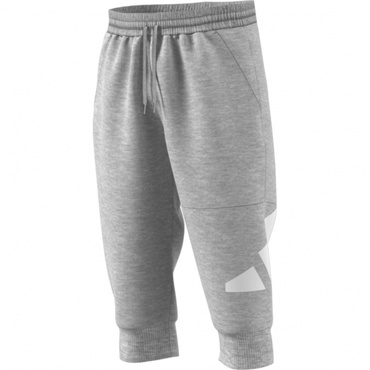 M ESS スウェット 3/4パンツ AP