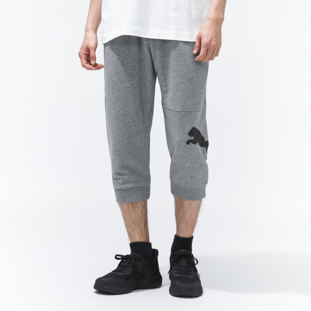 ESS 3/4 ロゴ PT TR(グレー-S)