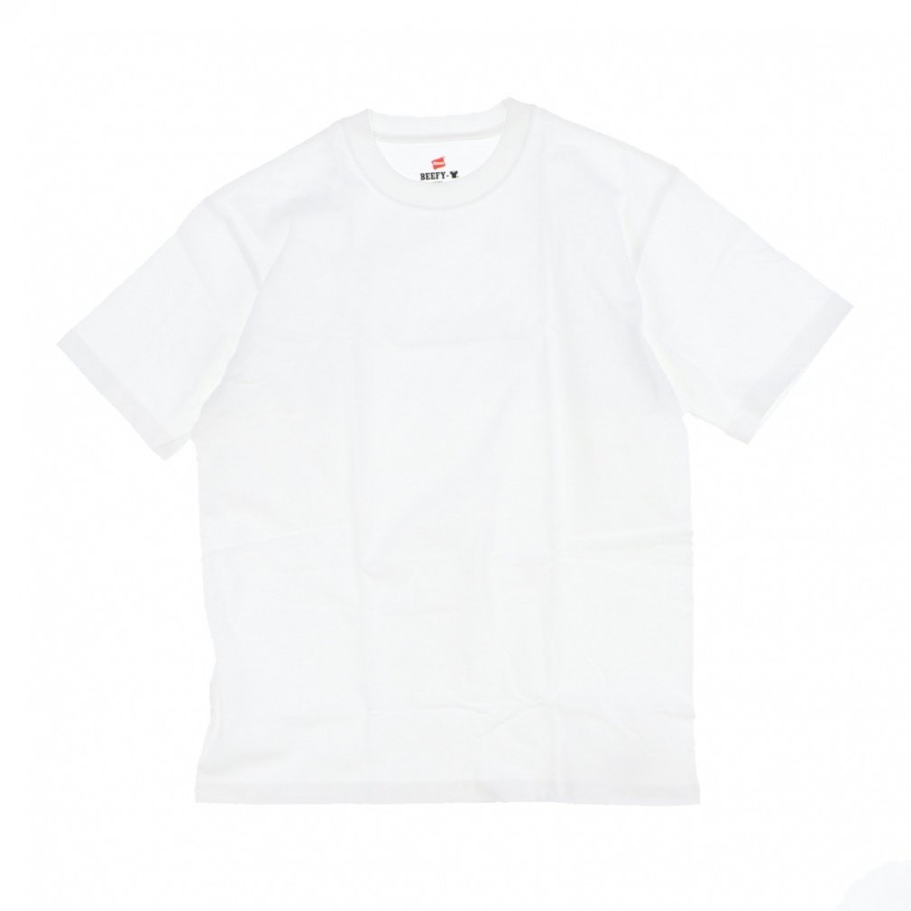 �w�C���Y �����Y ���� T�V���c SHORT SLEEVE T-SHIRT H5180 �X�|�[�c�E�F�A Hanes