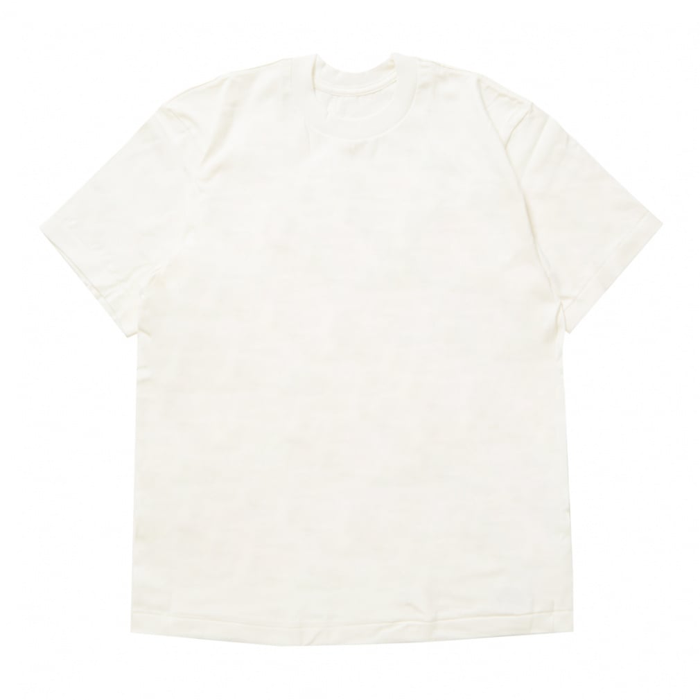 �w�C���Y �����Y �E�F�A SHIRO SHORT SLEEVE T-SHIRT HM1-X201 010 �X�|�[�c�E�F�A �F �u���b�N Hanes
