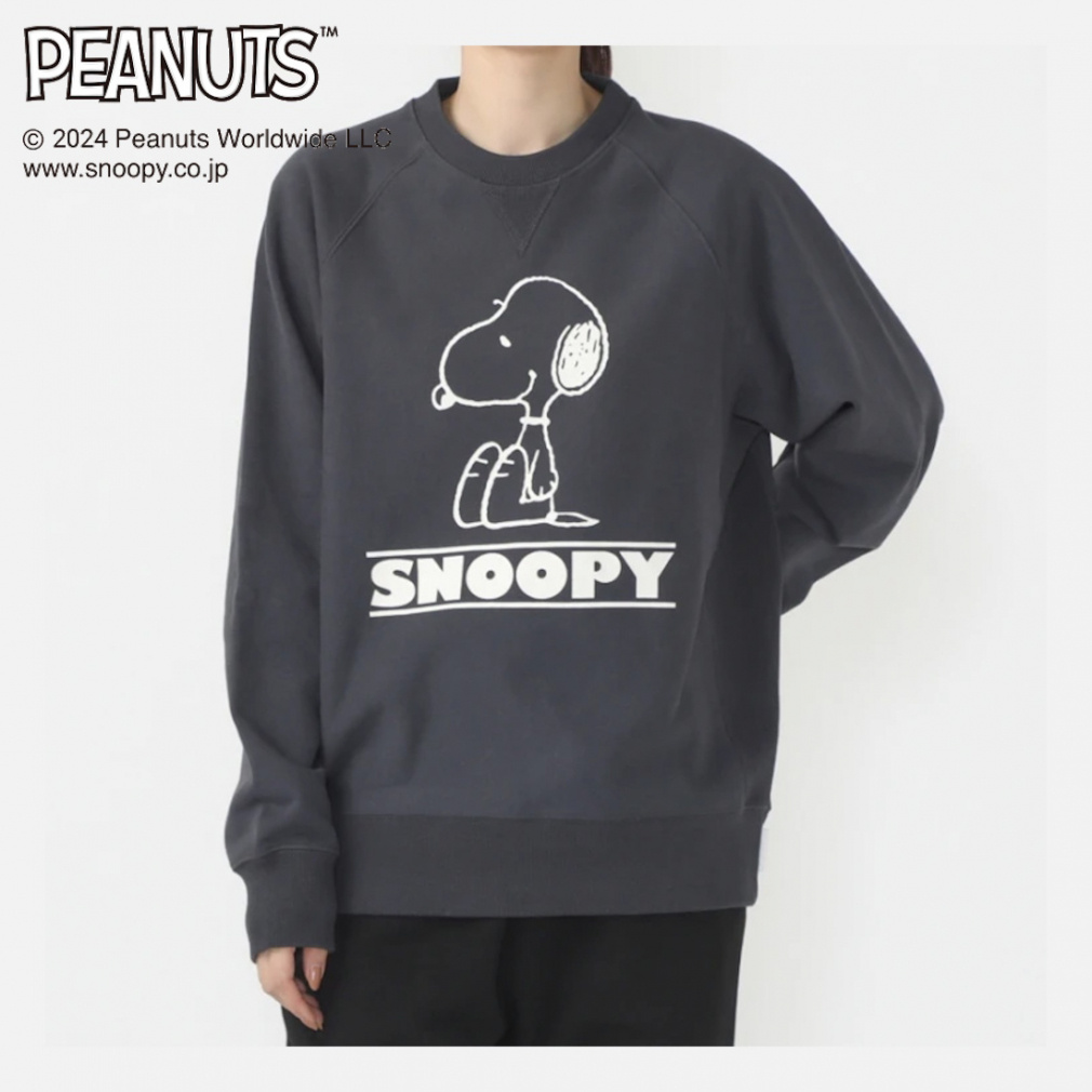 s[ibc Xk[s[ XEFbgVc SOLOTEX(R)gp jZbNX юdl PN-9C15074TJ X|[cEFA \ebNX PEANUTS SNOOPY