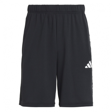 COOL TRN SHORTS BIG LOGO