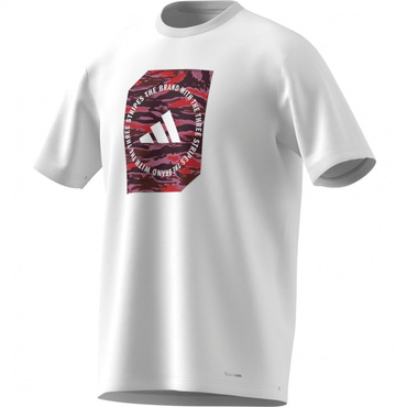 アルペン限定 M CAMO BOX ポリ Tシャツ AP