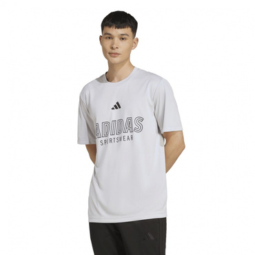 JO1キャンペーン対象 M C HOT SPW Tシャツ AP(ペールグレー-2XL メンズ)