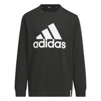 キッズ エッセンシャルズ プラス レギュラーフィット ビッグロゴ 長袖Tシャツ