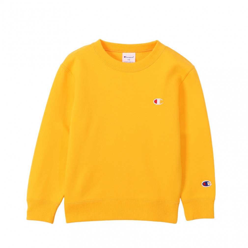 `sI WjA LbY q XEFbg g[i[ XEFbgg[i[ CREW NECK SWEAT CK-Y001 X|[cEFA Champion