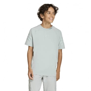 スポーツ アイコン スリーストライプス Tシャツ