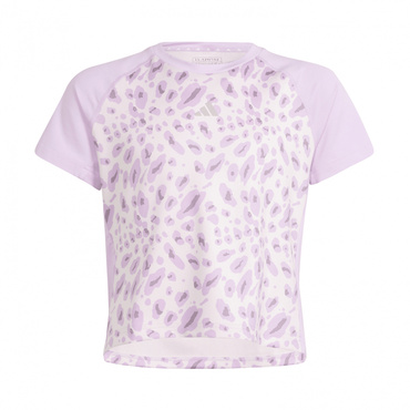 半袖Tシャツ