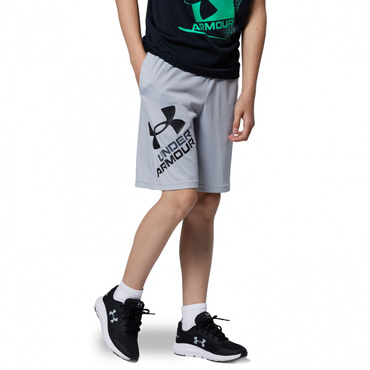 UA Prototype 2.0 Logo Shorts