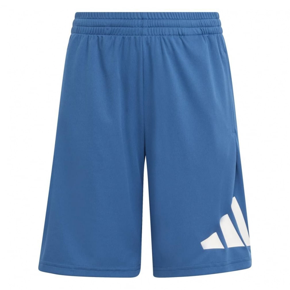 トレイン エッセンシャルズ ビッグロゴ ショーツ(ピーコックブルー-120cm)