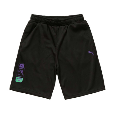 ESS ELEVATED メッシュ ショートPT